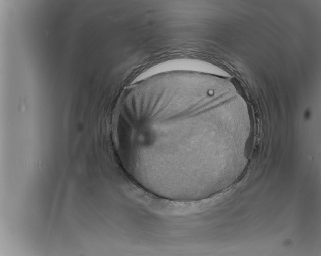 X0000094060037200711161535