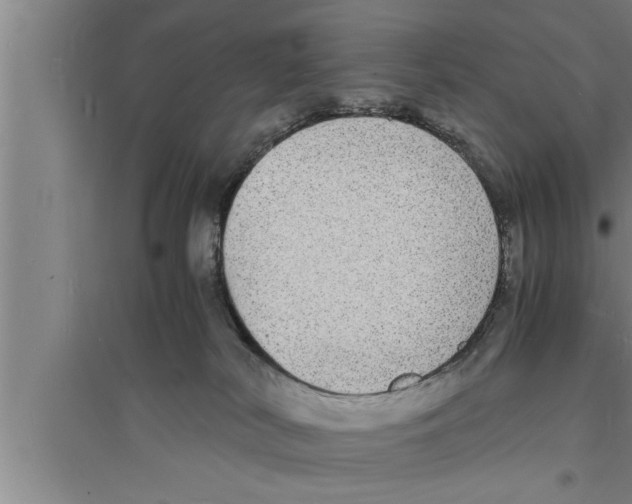 X0000094060038200711161535