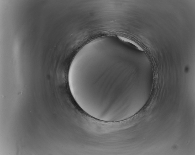 X0000094060039200711161535