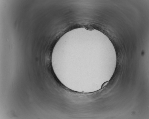 X0000094060040200711161535