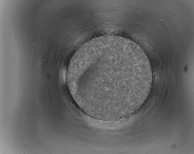 X0000094060042200711161535