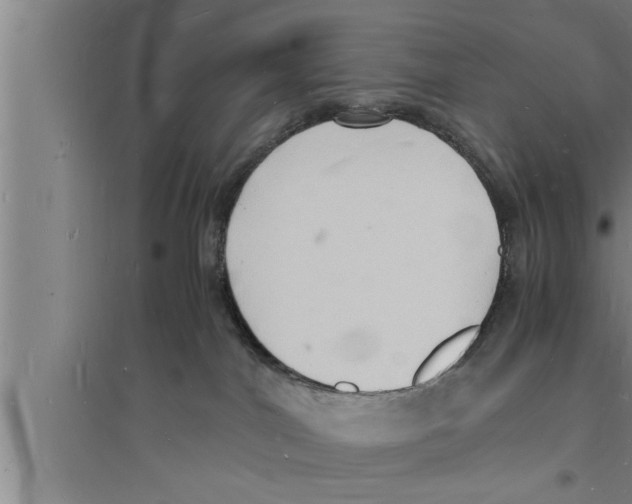 X0000094060044200711161535