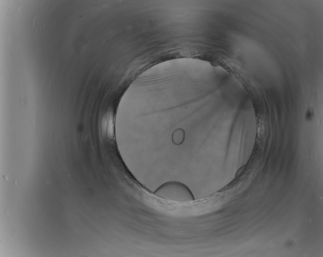 X0000094060046200711161535