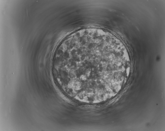 X0000094060049200711161534