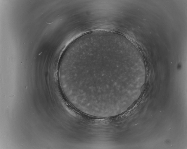 X0000094060050200711161534