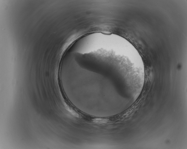 X0000094060051200711161534