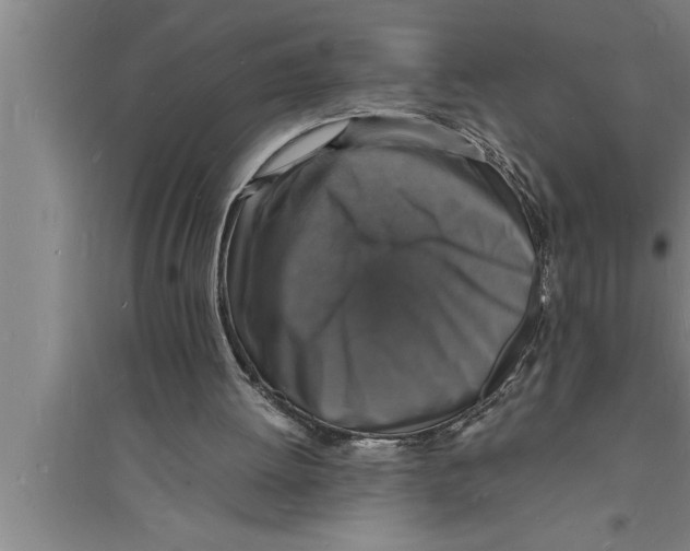 X0000094060052200711161534