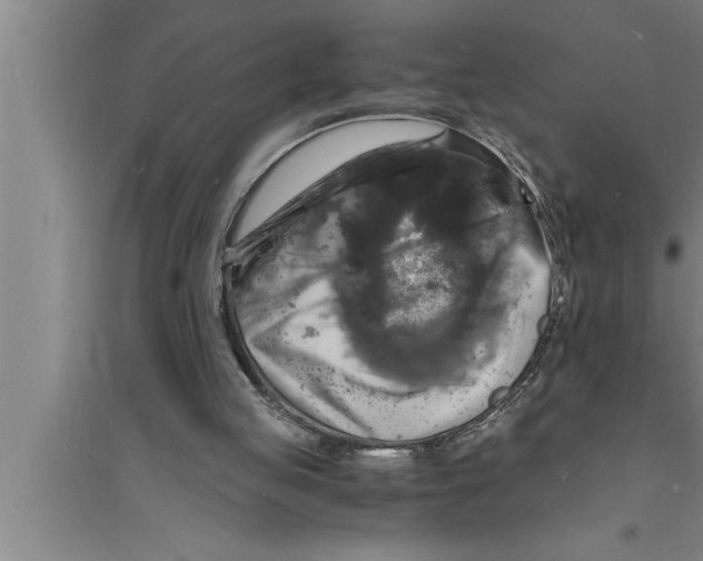 X0000094060053200711161534