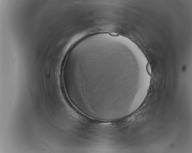 X0000094060054200711161534