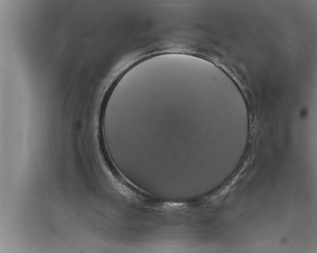 X0000094060055200711161534