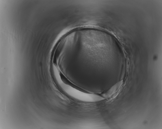 X0000094060056200711161534