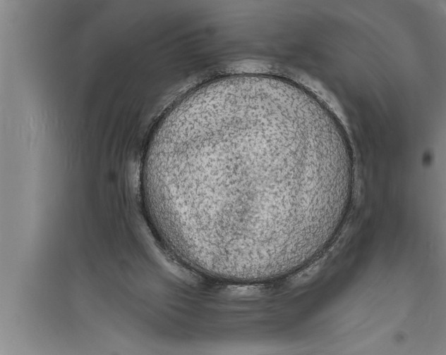 X0000094060057200711161534