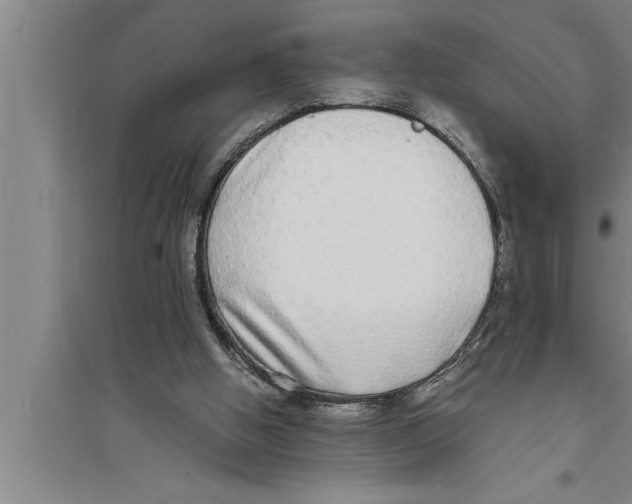 X0000094060058200711161534