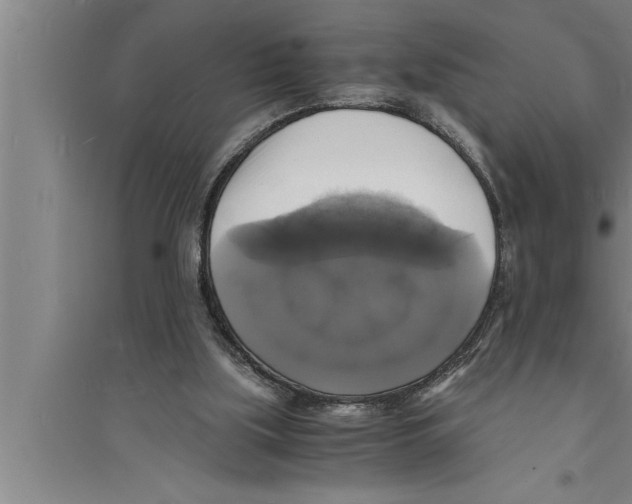 X0000094060059200711161534