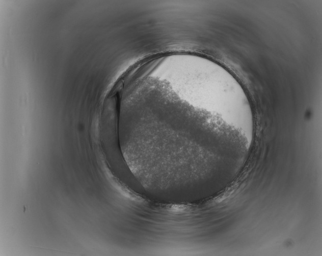 X0000094060060200711161534