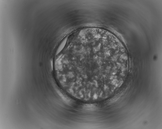 X0000094060061200711161534