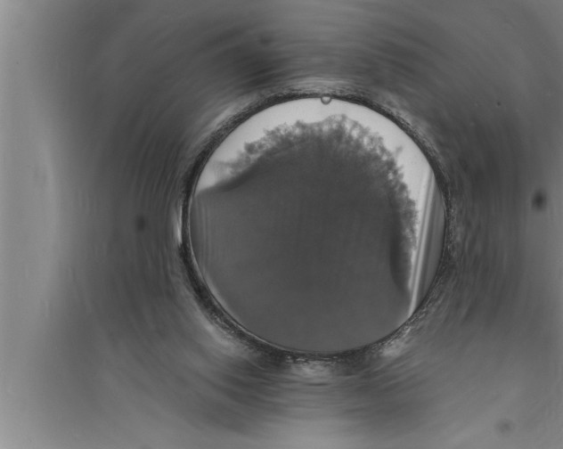 X0000094060062200711161534