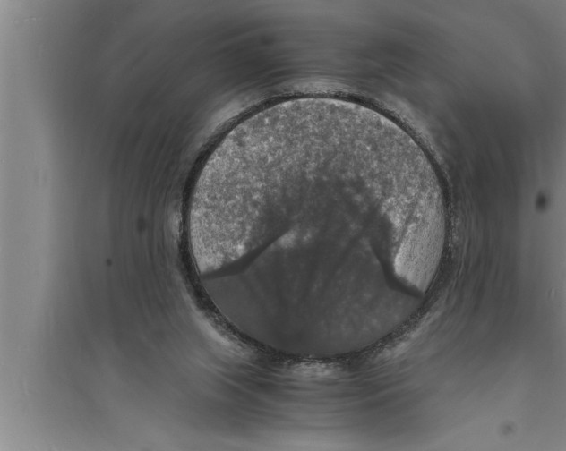 X0000094060063200711161534