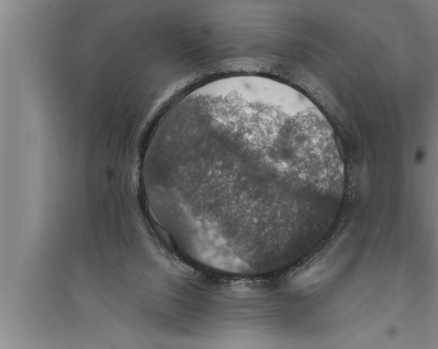 X0000094060064200711161534