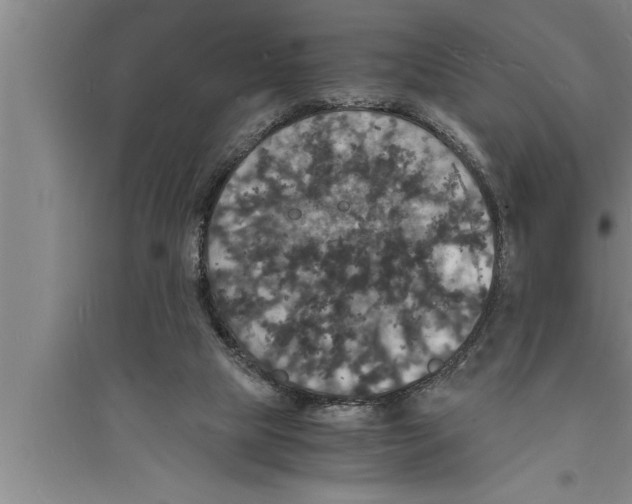 X0000094060065200711161534