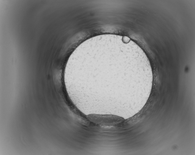 X0000094060066200711161534