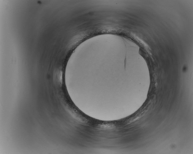 X0000094060067200711161534