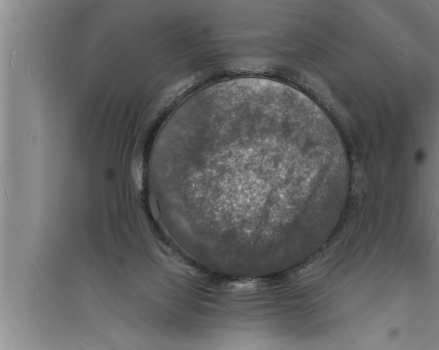 X0000094060068200711161534