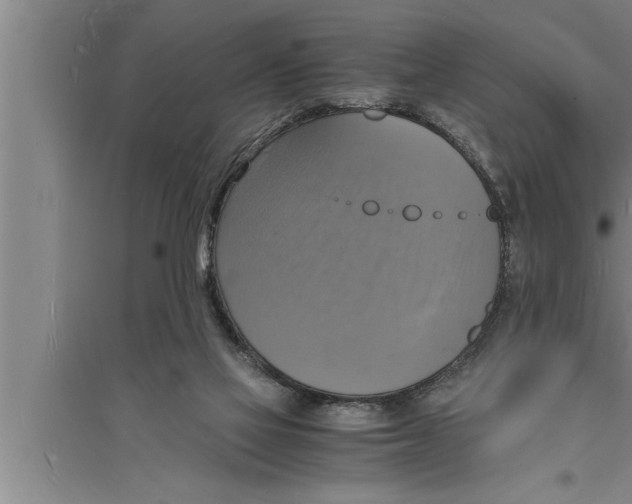 X0000094060069200711161534