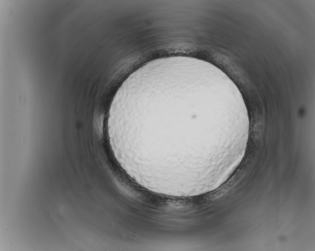 X0000094060070200711161534