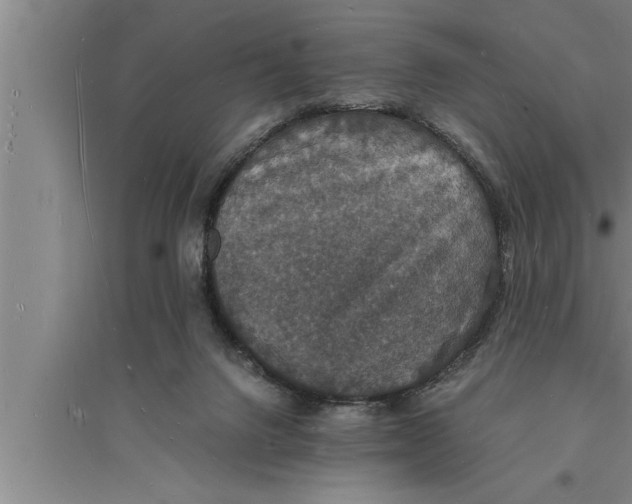 X0000094060072200711161534