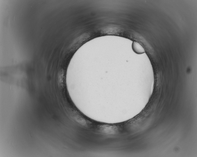 X0000094060073200711161534