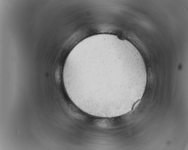 X0000094060074200711161534