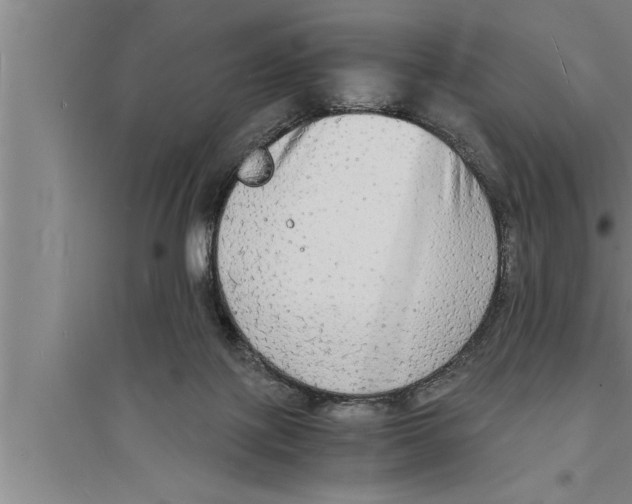 X0000094060075200711161534