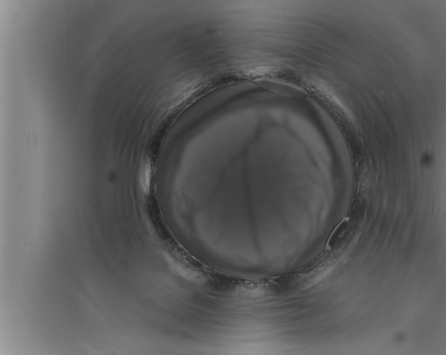 X0000094060076200711161534