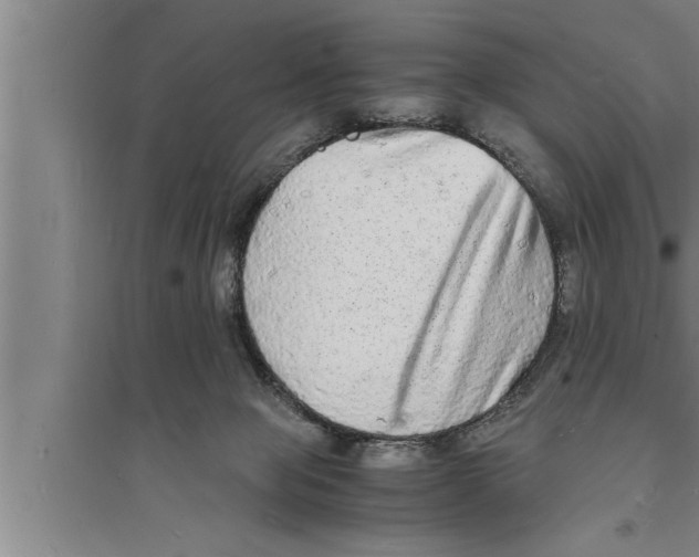 X0000094060077200711161534