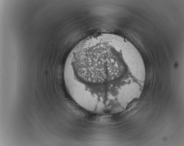 X0000094060078200711161534