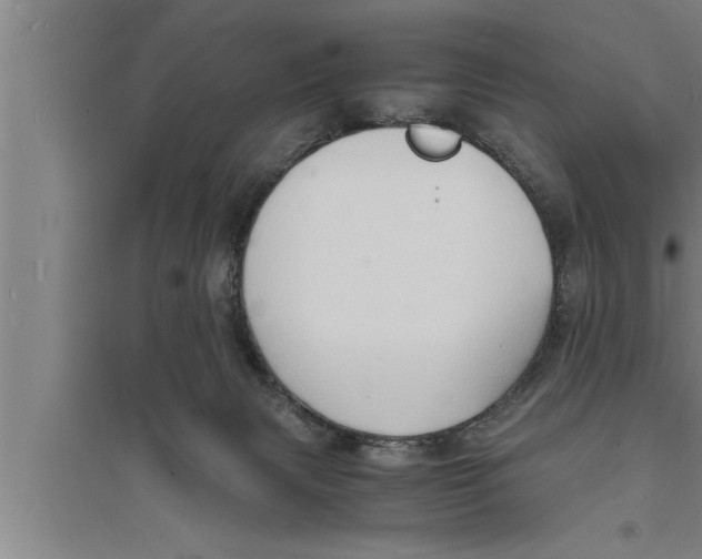 X0000094060079200711161534