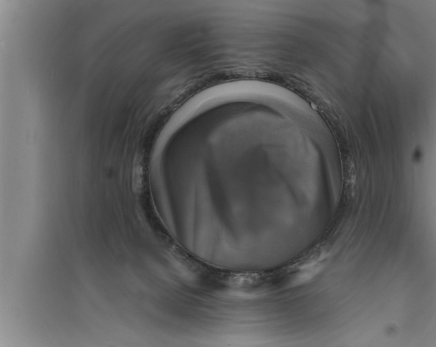 X0000094060080200711161534