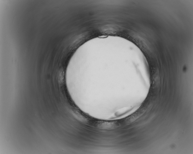 X0000094060081200711161534