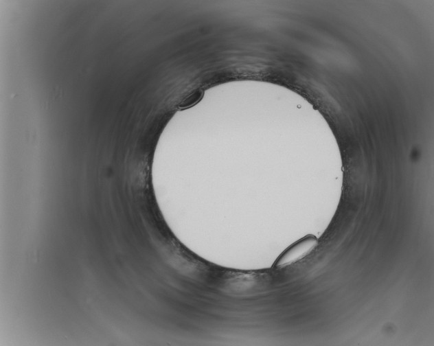 X0000094060083200711161534