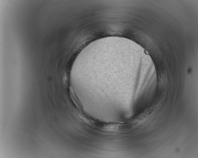 X0000094060084200711161534