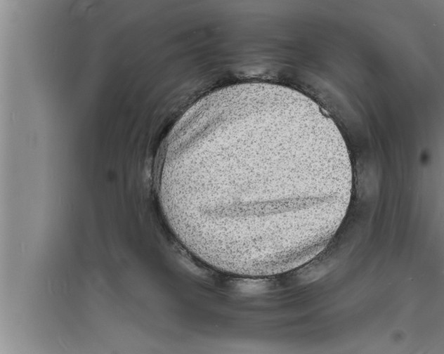 X0000094060085200711161534