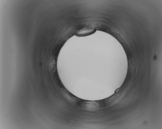 X0000094060087200711161534