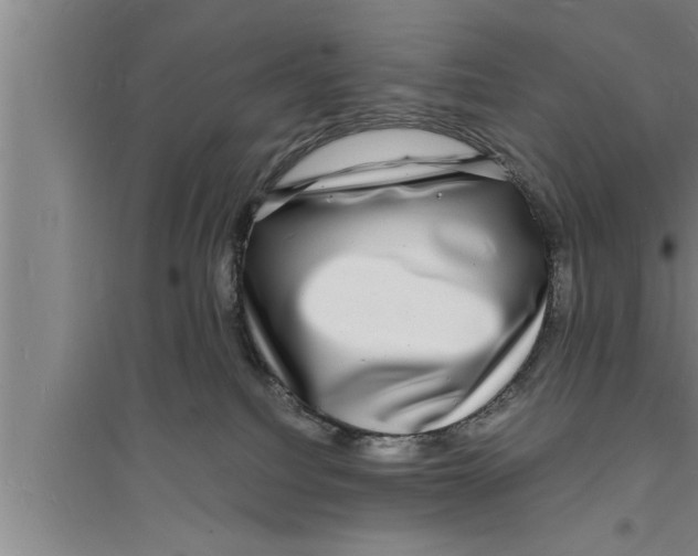 X0000094060088200711161534