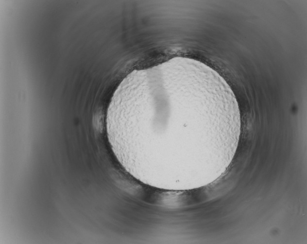 X0000094060090200711161534