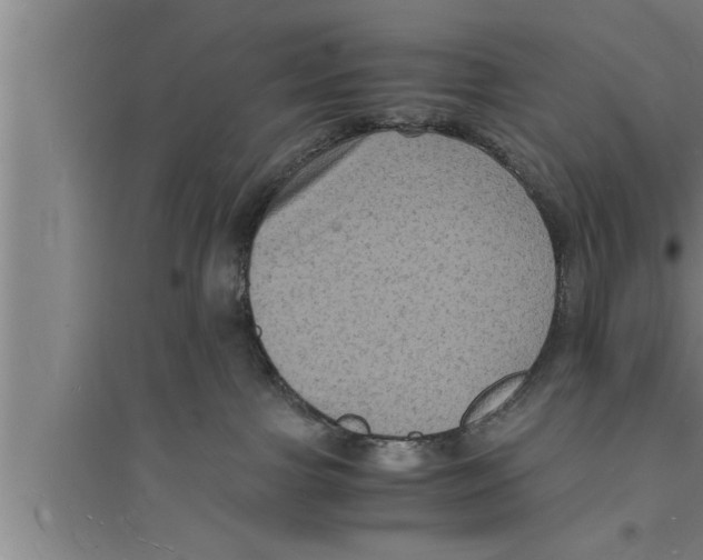 X0000094060091200711161534