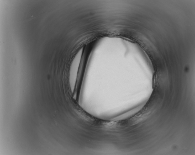 X0000094060092200711161534