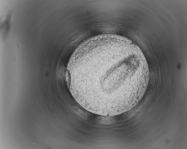 X0000094060093200711161534