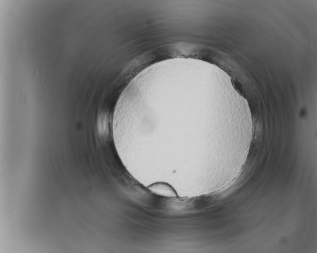 X0000094060094200711161535