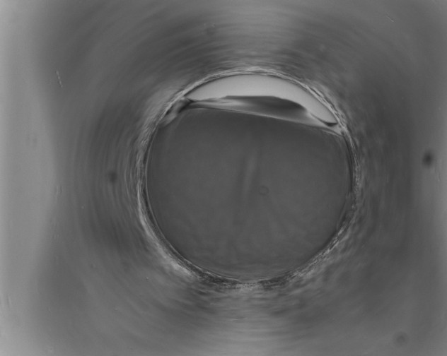 X0000094060097200711161534